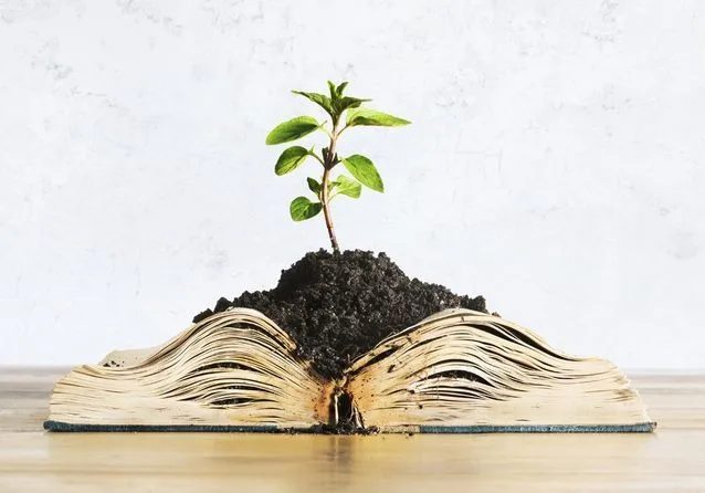 29ème Salon des appaméennes du livre